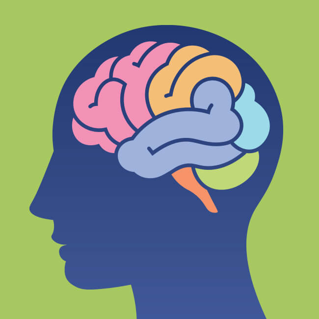 Head with colorful brain