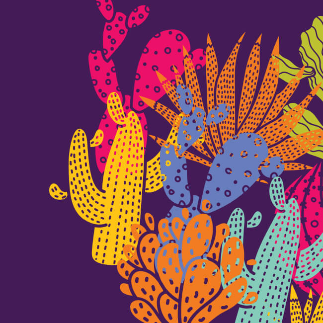 Illustration of cacti and other desert plants